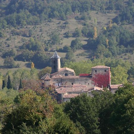 Chateau De Camon Camon  Exterior photo