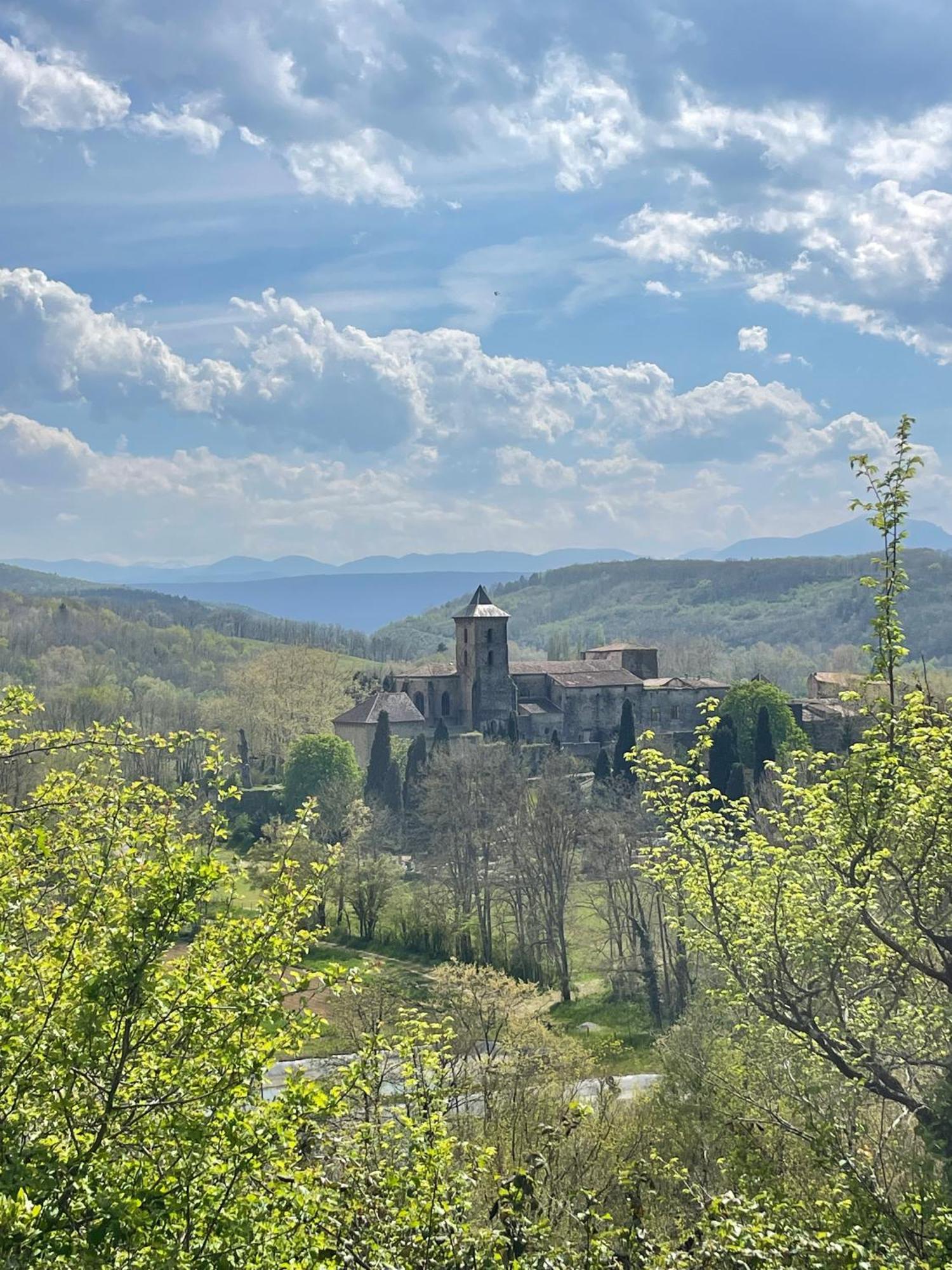 Chateau De Camon Camon  Exterior photo