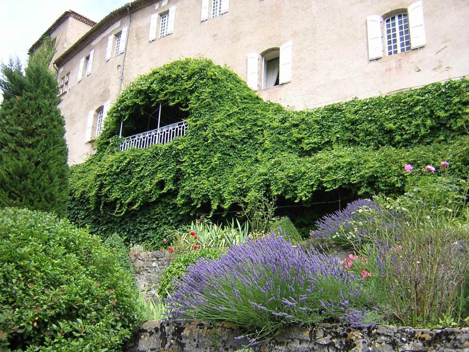 Chateau De Camon Camon  Exterior photo